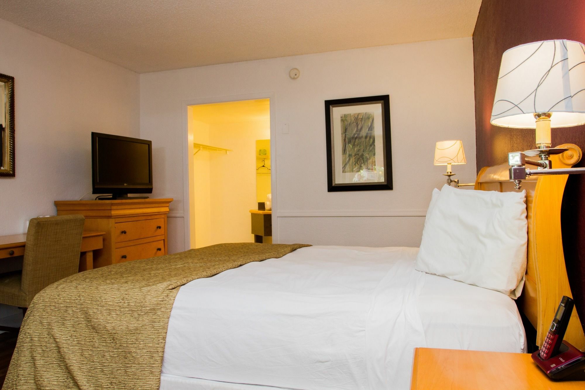 THE FLAMINGO RESORT - GAY ADULT RESORT ::: ST. PETERSBURG, FL ::: COMPARE  HOTEL RATES